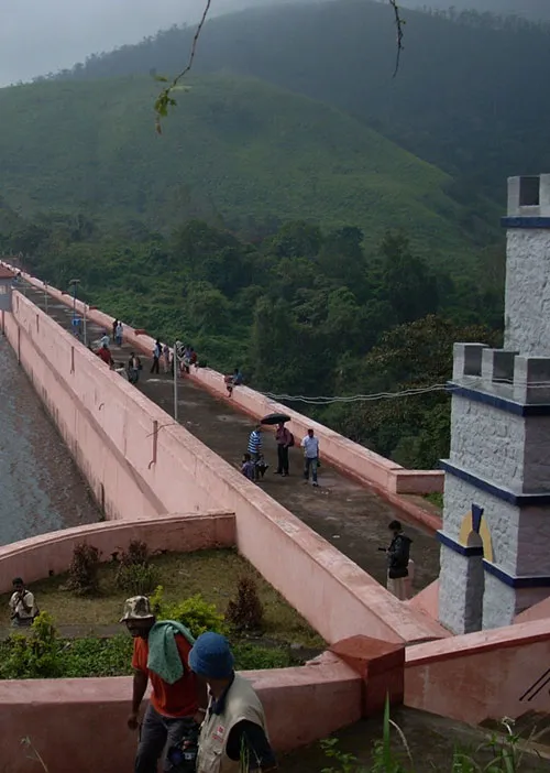 DAM 